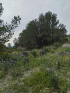 Naturaleza de terreno inmobicasasbullas