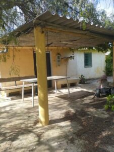 Porche con enredadera inmobicasasbullas