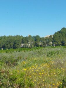 Terreno calle de la Rafa inmobicasasbullas