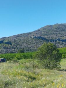 Vistas de montaña inmobicasasbullas