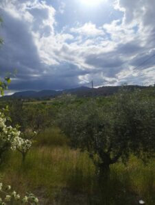 Vistas desde la casa