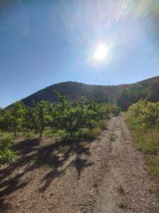 Vistas desde terreno inmobicasasbullas