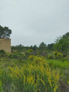Vistas desde terreno inmobicasasbullas