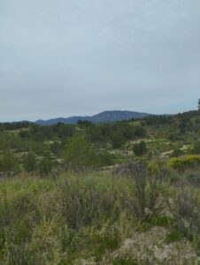 Vistas desde terreno inmobicasasbullass