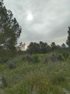 Vistas desde terreno inmobicasasbullasss