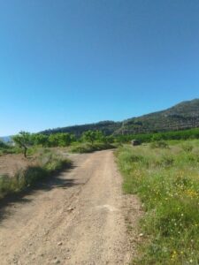 camino de tierra inmobicasasbullas