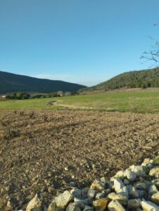 hierva verde inmobicasasbullas