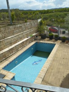 piscina con delfin dibujado inmobicasasbullas