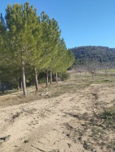 terrenoo inmobicasasbullas