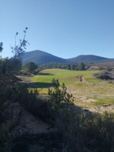 tierra inmobicasasbullas