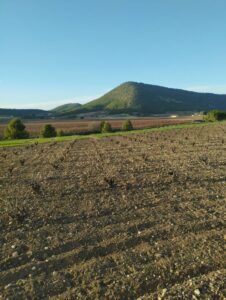 tierra marron inmobicasasbullas