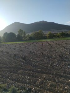 viña inmobicasasbullas