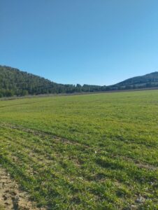 vista de terreno inmobicasasbullas