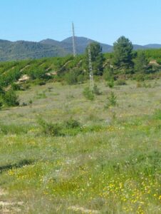 vistas de terreno inmobicasasbullas