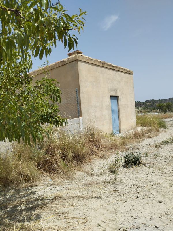 Fincas y terrenos en Bullas