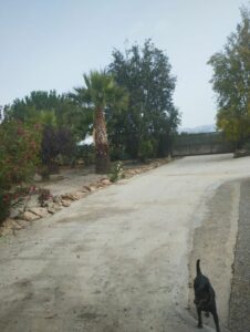 camino inmobicasasbullas