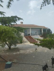 fachadaa inmobicasasbullas