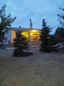 fuera con pinos inmobicasasbullas