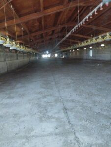 inmobicasasbullasinmobicasasbullas