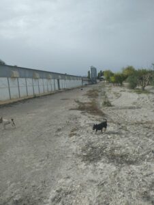 naveee inmobicasasbullas