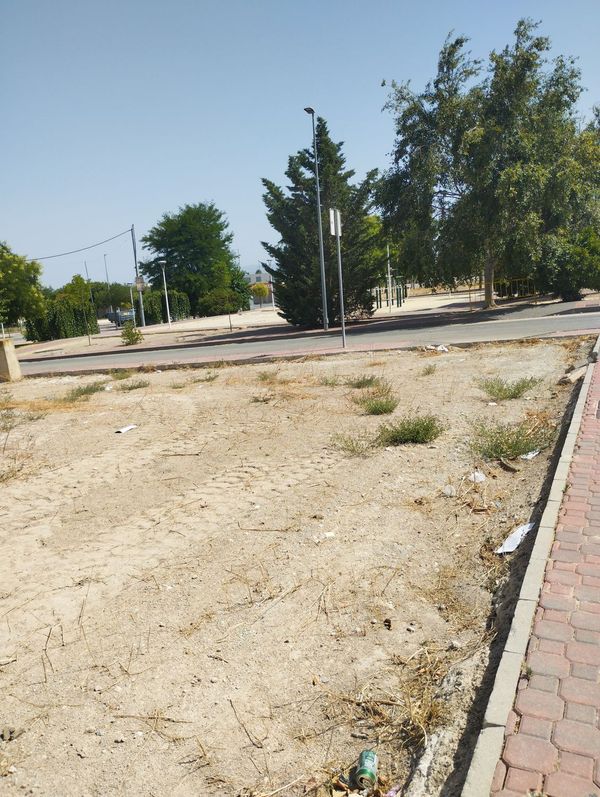 solares en venta en Bullas